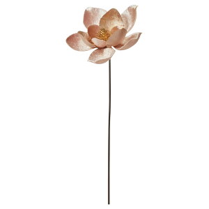   Ƃ悹i xxbg}OmAsbN N nNN VN RuV r[h xxbh N  ̊ i   AXJ ASCA AXJ