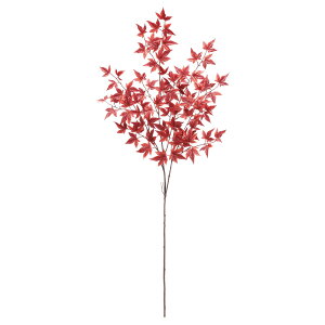 yP10{ 12/31܂ŁIz  O[ Ƃ悹i ~W ݂ gt lHA CeAO[ tFCNO[ tFCNϗtA C~e[VO[ p[c t AXJ ASCA AXJ