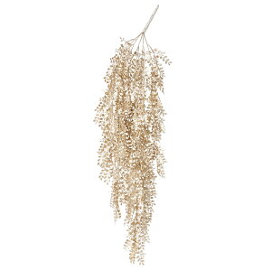 yP10{ z NX}X  O[ Ƃ悹i ^bN[tnMOubV Vp Vy x[W  F ݂艺 [t z[[  AXJ ASCA AXJ