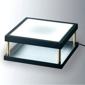 �C���e���A �t�H�g�t���[�� �ʐ^���� �Ƃ�悹�i Lighting Table Altar(���C�e�B���O�e�[�u���E�I���^�[) �t�H�g�t���[�� �ʐ^���� �ǖ� �z�� �C���e���A �G�� �I�u�W�F DIY