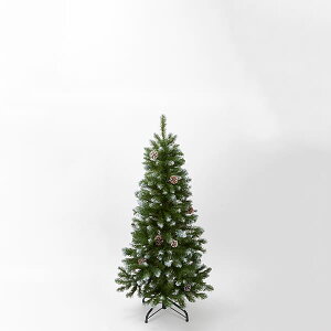 NX}X c[ y[J[iz 4FTXm[c[ 1.2mssEiƂ̓st NX}Xc[ 傫 120cm 1.2m 150cmȉ  ݂̖ t G