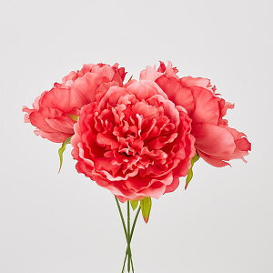 牡丹 花 造花 アーティフィシャルフラワーの人気商品 通販 価格比較 価格 Com 牡丹 花 造花 アーティフィシャルフラワーの人気商品 通販 価格比較 価格 Com