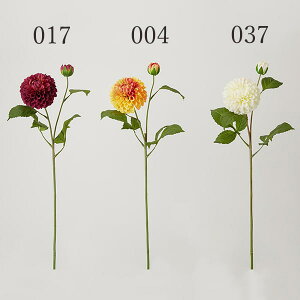 yP10{ z  Ƃ悹i E_A _A VO CeA CeAt[ tFCNt[ VNt[ CeAO[ tFCNO[ A[gt[ DIY