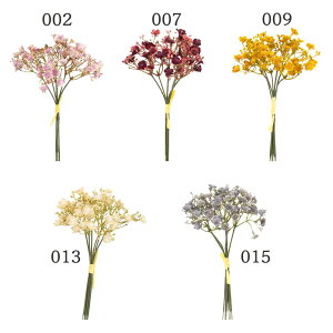 yP10{ 12/31܂ŁIz  Ƃ悹i Wv\ohi6{/j Wv\tB JX~\E ݑ Mv\tB A[eBtBVt[ CeA CeAt[ tFCNt