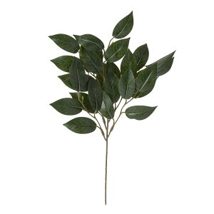   Ƃ悹i  S    ~ ~ ފ ݉  t[l tFCN ɋ ͂Ȃ tFCNt[ VNt[ p