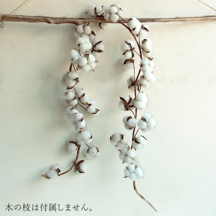 楽天市場】ドライフラワー 花材 クリスマス リース 即日出荷 