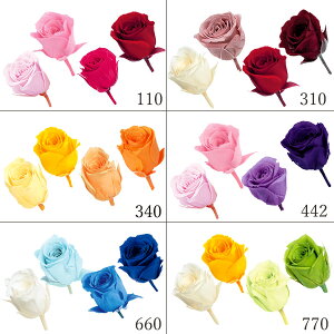 yP10{ z vU[uht[ ԍ o rrAEJ[A\[g(24֓) vU[uht[ XbO u[P hCt[ ԑ [X AW ԍ f n_