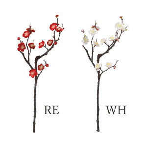 yP10{ 12/31܂ŁIz   Ƃ悹i ̔~ a ~ Japanese A[eBtBVt[ apricot v CeA CeAt[ tFCNt[ VNt[ ԍ roH|