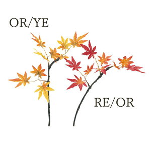  O[ Ƃ悹i ~WRG_ CeA tFCN O[ p[c CeAt[ tFCNt[ VNt[ CeAO[ ԍ f roH|