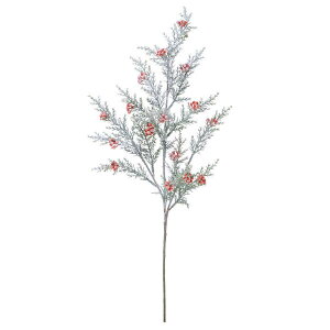 NX}X  O[  Ƃ悹i x[Xv[(Xm[) [t z[[ t  I[ig NX}X NX}X[X CeA G p[c roH|