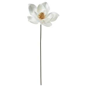   Ƃ悹i xxbg}OmAsbN N nNN VN RuV r[h xxbh N  ̊ i   AXJ ASCA AXJ