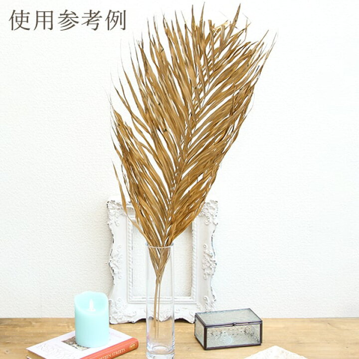 楽天市場 ドライフラワー 花材 即日出荷 Coretrading アレカヤシ 小 ゴールド葉 実 リーフ プリザーブドフラワー スワッグ ブーケ ドライフラワー プリザ 花束 ドライフラワースワッグ リース アレンジ 花材 素材 材料 花 パーツ 装飾 造花ドライフラワー専門