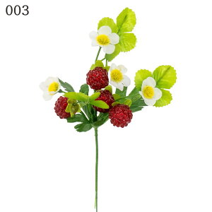 yP10{ 12/31܂ŁIz  O[  Ƃ悹i Yx[sbN x[ ؂̎ CeA tFCN O[ p[c AWg CeAt[ tFCNt[ VNt