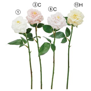  Ƃ悹i [Y o KN  炫  sN zCg CG[ CeA CeAt[ tFCNt[ VNt[ ԍ AXJ ASCA AXJ