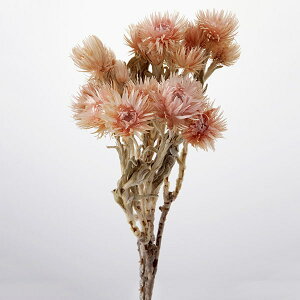 hCt[ ԍ o Vo[f[W[ sN[u sN[u hCt[ XbO u[P hCt[ԑ hCt[XbO [X n_