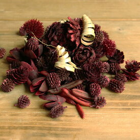 楽天市場 ドライフラワー 実 ドライフラワー 花 観葉植物 花 ガーデン Diyの通販