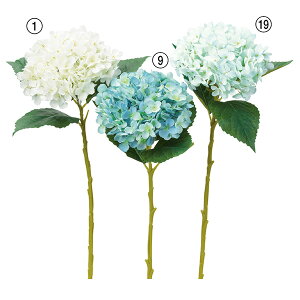  Ƃ悹i nChWA z AWTC CeA CeAt[ tFCNt[ VNt[ CeAO[ ԍ Ԏ AXJ ASCA AXJ