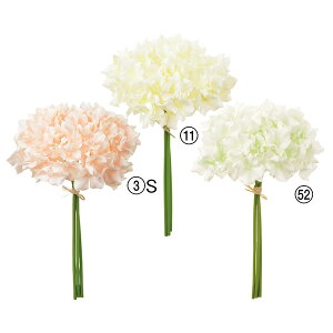 yP10{ }\z  Ƃ悹i nChWAo`(13{) z AWTC CeA CeAt[ tFCNt[ VNt[ tFCNO[ AXJ ASCA 