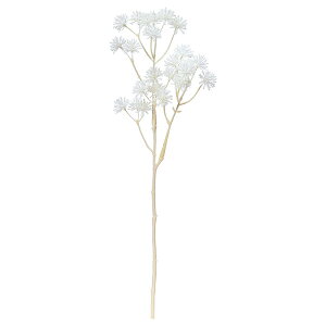 yP10{ 12/31܂ŁIz  Ƃ悹i AAXv[×24 A[eBtBVt[  CeA CeAt[ tFCNt[ VNt[ O[ AXJ ASCA AXJ