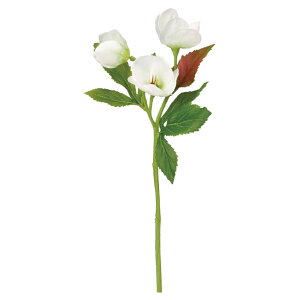 yP10{ 12/31܂ŁIz  Ƃ悹i NX}X[Y×2 ڂ×1 A[eBtBVt[ w{X jQ CeA CeAt[ tFCNt[ AXJ ASCA AXJ