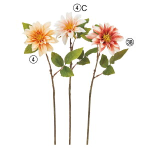 yP10{ z  Ƃ悹i _A VO Ă񂶂ڂ eWN{^ CeA CeAt[ tFCNt[ VNt[ A[gt[ AXJ ASCA AXJ