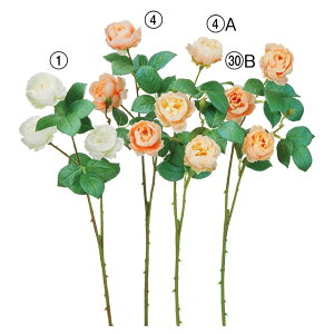 yP10{ 12/31܂ŁIz  Ƃ悹i [Y×3 ڂ×1 o KN Jbv炫 IW  sN sNIW CeA CeAt[ tFCNt[ AXJ ASCA AXJ