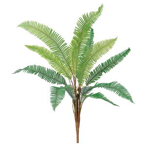 yP10{ 12/31܂ŁIz  O[ Ƃ悹i t@[vg CeA tFCN O[ p[c CeAt[ tFCNt[ VNt[ ԍ f AXJ ASCA AXJ