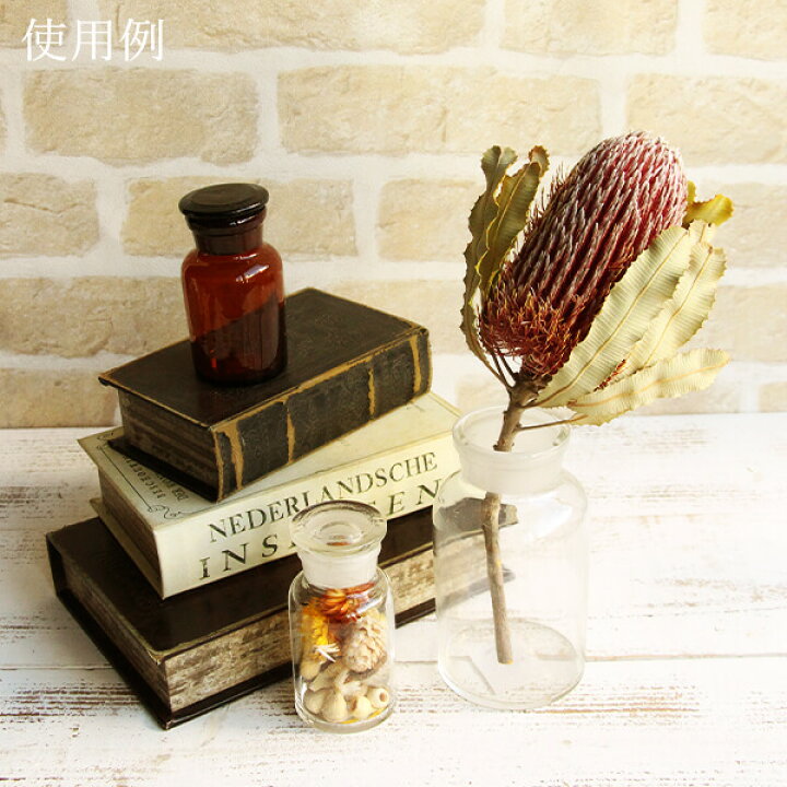 277円 手数料無料 ドライフラワー 花材 即日出荷 Coretrading ピン