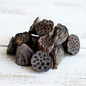 yP10{ z hCt[ ԍ o ~jnXE i` hCt[ ؂̎ XbO [X AW ԍ f ޗ p[c AWg i`  n_