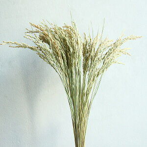 hCt[ ԍ o Ciz Z i`O[  ߓ  a N CeA ԍ ޗ fBXvC Y a hCt[ u[P n_