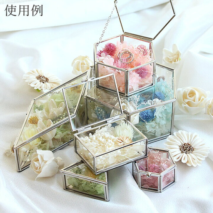 楽天市場 ガラス ベース 即日出荷 Posh Living フレームボックス ヘクスm ガラスケース リングピロー ボタニカル ガラスボックス ジュエリー シルバーコンポート インテリア 花資材 花器 安い 造花ドライフラワー専門問屋花びし