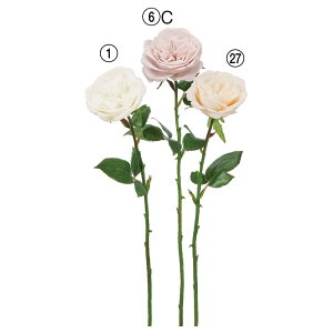  Ƃ悹i [Y o KN  [bg炫  p[v  zCg x[W CeA CeAt[ tFCNt[ ԍ AXJ ASCA AXJ