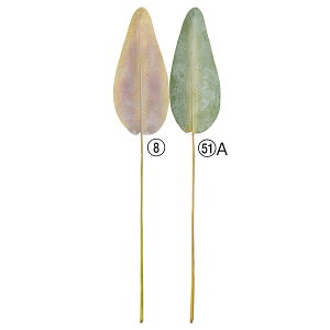 yP10{ 12/31܂ŁIz  O[ Ƃ悹i Xg`A[t CeA tFCN O[ p[c CeAt[ tFCNt[ VNt[ ԍ f AXJ ASCA AXJ