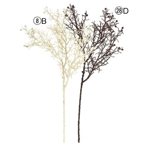 yP10{ 12/31܂ŁIz  O[ Ƃ悹i TCvXXv[ CeA tFCN O[ p[c CeAt[ tFCNt[ VNt[ ԍ t AXJ ASCA AXJ