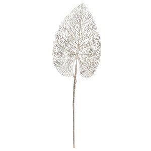 yP10{ z NX}X  O[ Ƃ悹i [tXv[(t) Ob^[ LL AWx[X Vp Vy x[W [t t AXJ ASCA AXJ