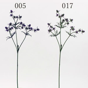  Ƃ悹i GWEXv[ GWE A[eBtBVt[  CeA CeAt[ tFCNt[ VNt[ tFCNO[