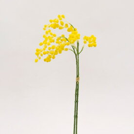 楽天市場 ミモザ の 花の通販