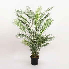 楽天市場 フェニックス 観葉植物 花 観葉植物 花 ガーデン Diy の通販