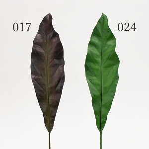 P10{ 10/14 20灚  O[ Ƃ悹i ^j^ tFCNO[ CeAO[ [t ϗt 썑 gsJ 傫 p[c CeAt[ tFCNt[ ԍ 