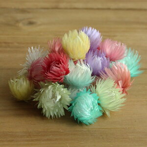 hCt[ ԍ o Vo[fCW[wbh CgJ[A\[g Vo[f[W[ ԍ f ޗ p[c hCt[ XbO u[P ԑ  f