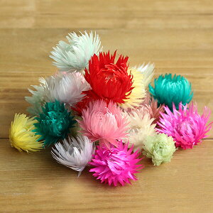 hCt[ ԍ o Vo[fCW[wbh ~bNXJ[A\[g Vo[f[W[ ԍ f ޗ p[c hCt[ XbO u[P ԑ DIY f