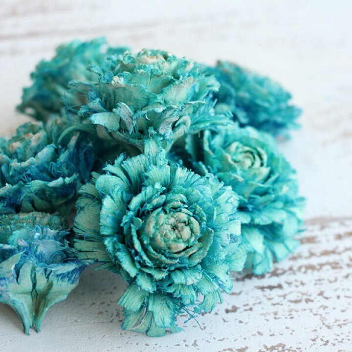 楽天市場】ドライフラワー 花材 即日出荷 シダーローズ ライトブルー  