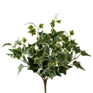  O[ Ƃ悹i I_ACr[oCUVJbg CeA tFCN O[ p[c CeAt[ tFCNt[ VNt[ ԍ f roH|