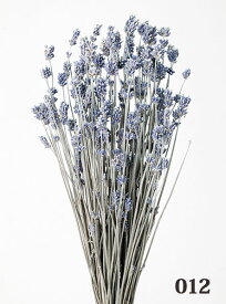 ドライフラワー 花材 とりよせ品 ラベンダー ドライ 自然素材 ナチュラルドライフラワー インテリア インテリアフラワー プリ プリザ プリザーブド ハーバリウム 花 大地農園