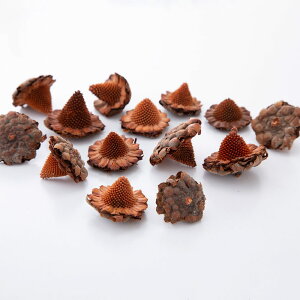 hCt[ ԍ Ƃ悹i LVJnbg ؂̎ t[c ʎ ibc hC Rf hCt[ i`hCt[ CeA v  n_