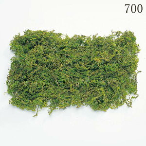 vU[uht[ ԍ Ƃ悹i RSPE hCt[ ԍ f p[c ޗ X RP  n[oE vU[uh[Y uU[uh Ǌ| n_