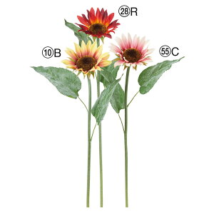  Ƃ悹i Tt[ Ђ܂ q}  j`\E ֑ eWNAIC V 썑 gsJ CeA tFCNt[ AXJ ASCA AXJ