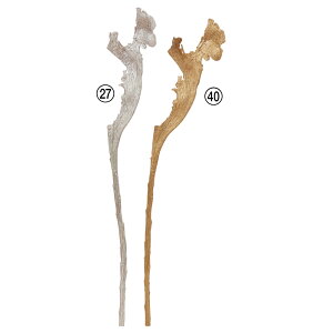 yP10{ z   O[ Ƃ悹i ZbJiM Ή WEiM ֗  AW ԍ a a a_ {  F AXJ ASCA AXJ