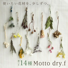 【P10倍 12/31まで！】 ドライフラワー 花材 即日出荷 もっとドライフラワー 小分け 少量 花材 ドライフラワー インテリア ディプレイ ギフト 自然素材 インテリアフラワー プリ コアトレーディング