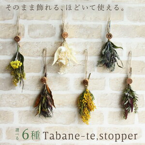 ԍ hCt[ AW o ˂ăXgbp[ hCt[ u[P XbO  ԑ Ǌ| CeA fBXvC {^jJ Mtg RAg[fBO